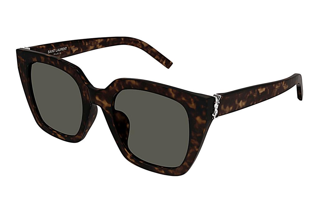 Saint Laurent   SL M143 002 HAVANA