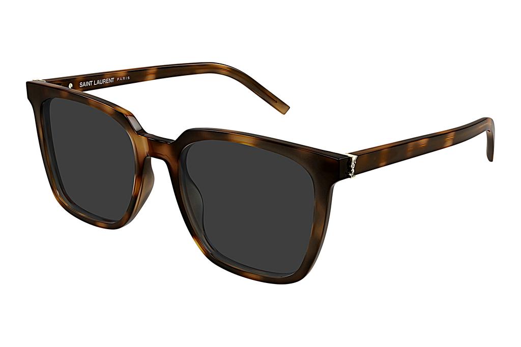 Saint Laurent   SL M146 003 HAVANA