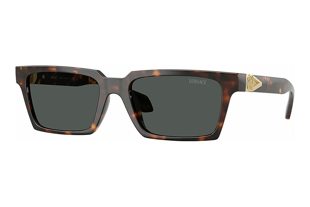 Versace   VE4490U 108/87 Dark GreyHavana