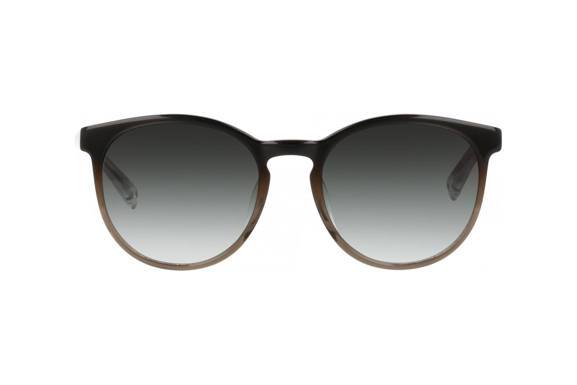 Vista frontal Brendel BL 906168 (60)