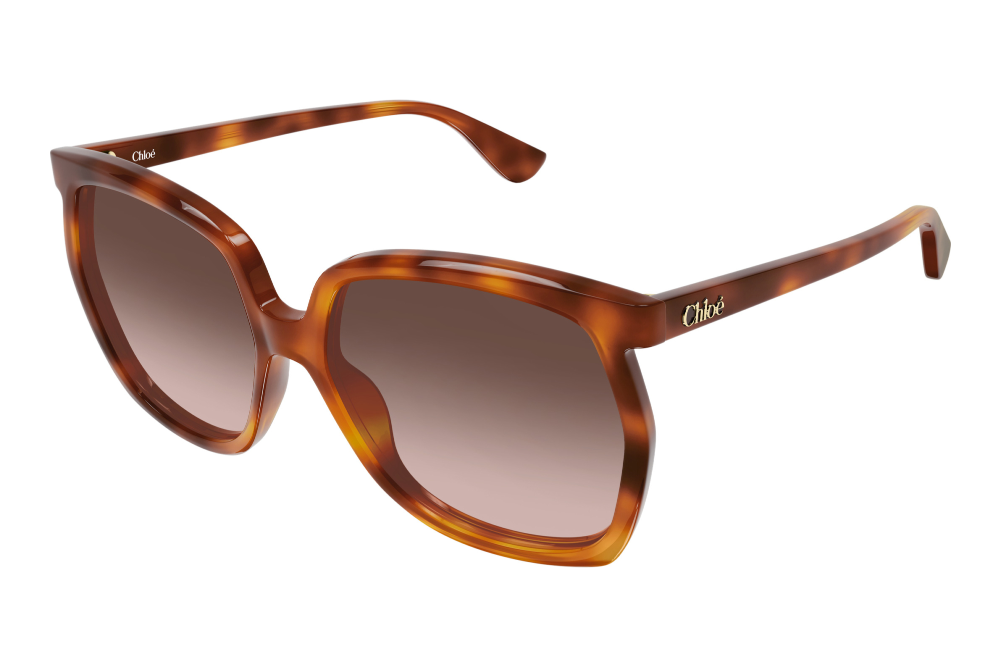Chloé   CH0389S 002 HAVANA
