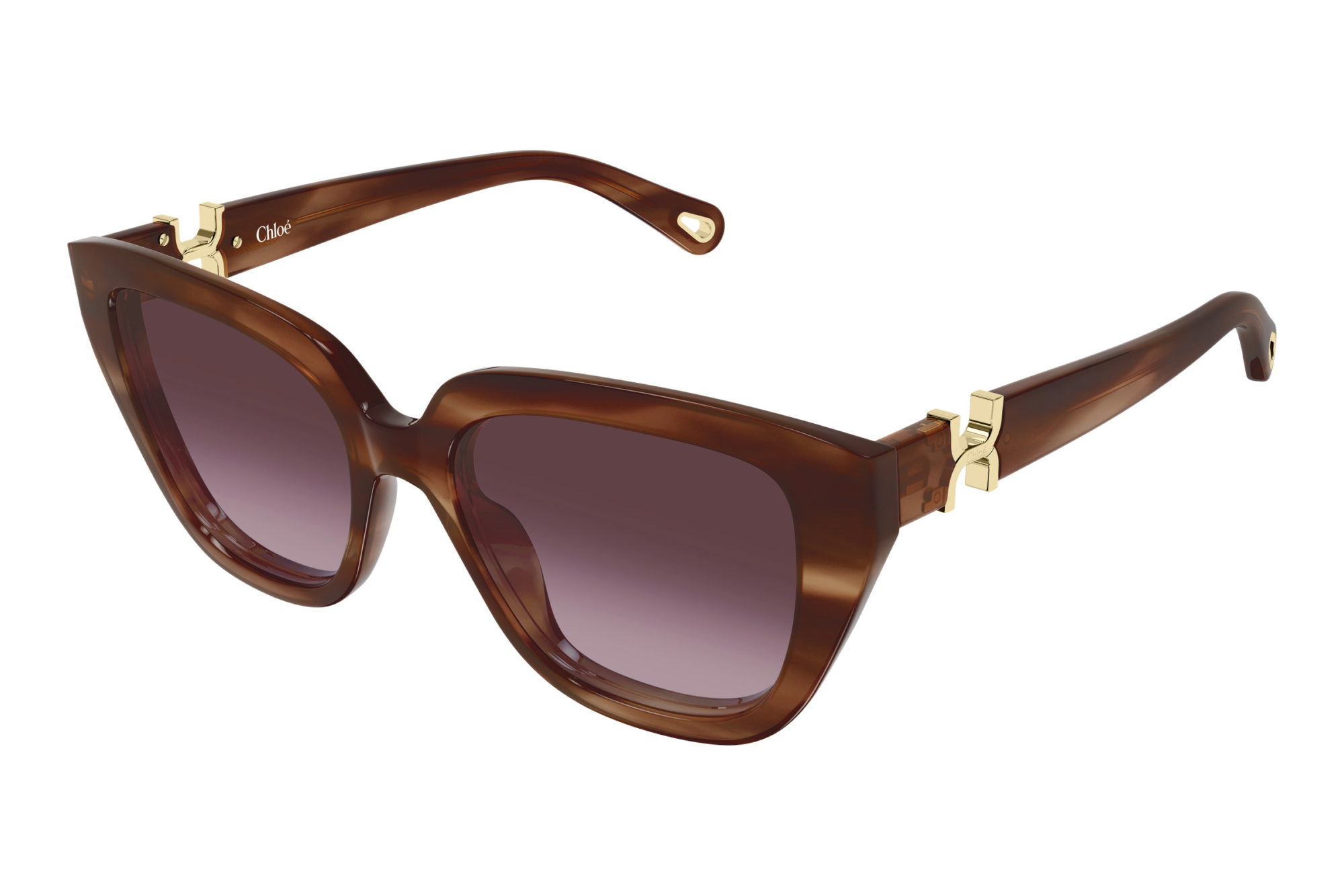 Chloé   CH0410S 003 HAVANA