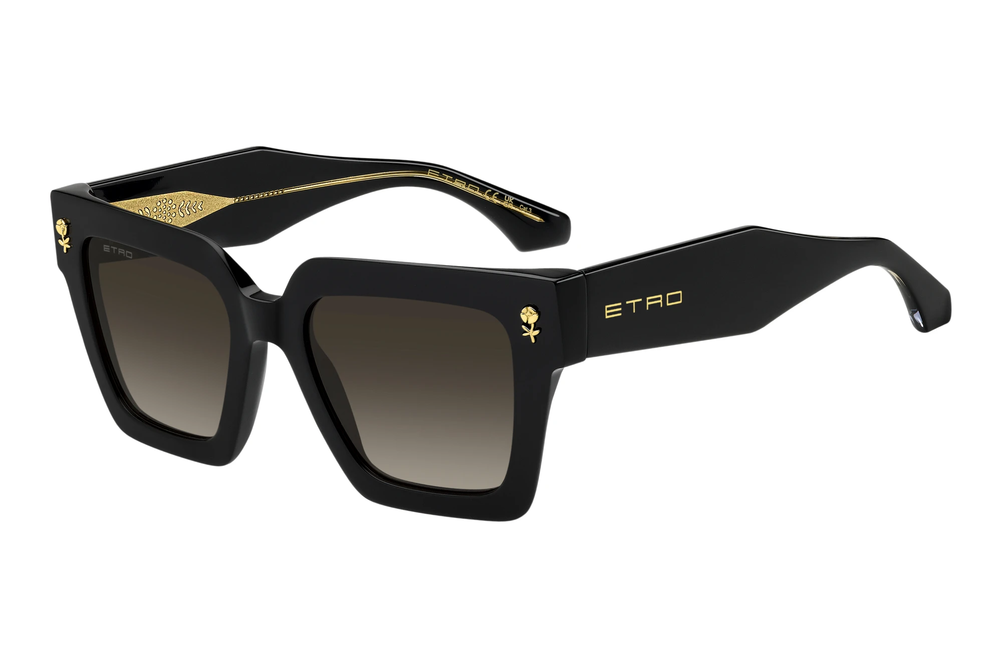 Etro   ETRO 0113/S 807/HA BROWN SHADEDBLACK