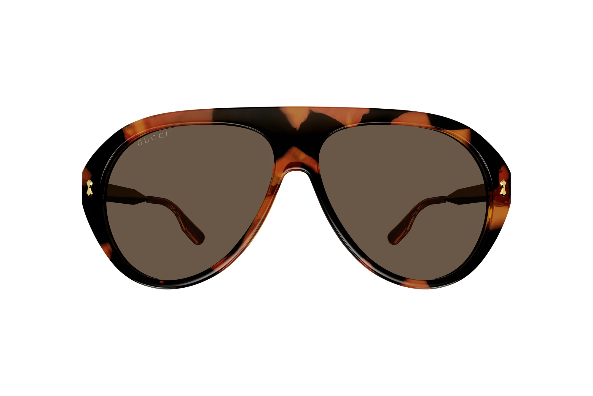 Vista frontal Gucci GG1515S (002)