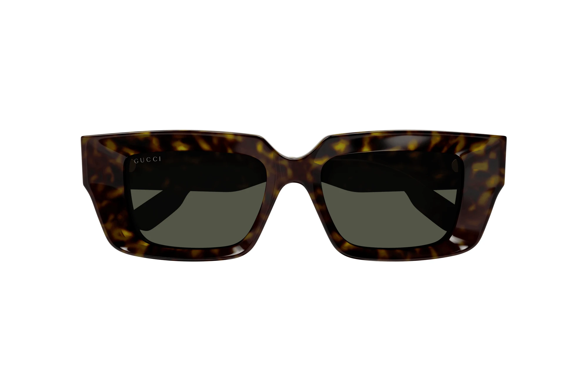 Vista frontal Gucci GG1529S (002)
