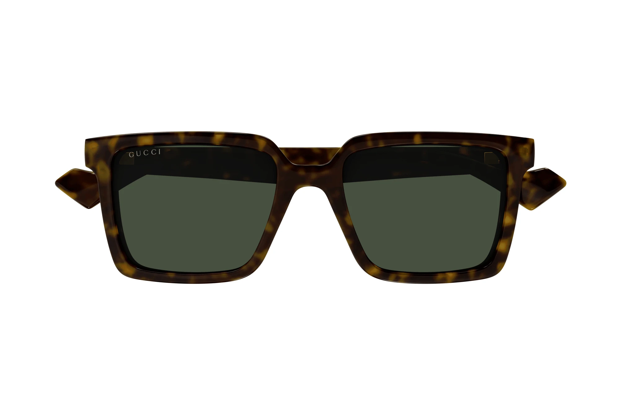 Vista frontal Gucci GG1540S (002)