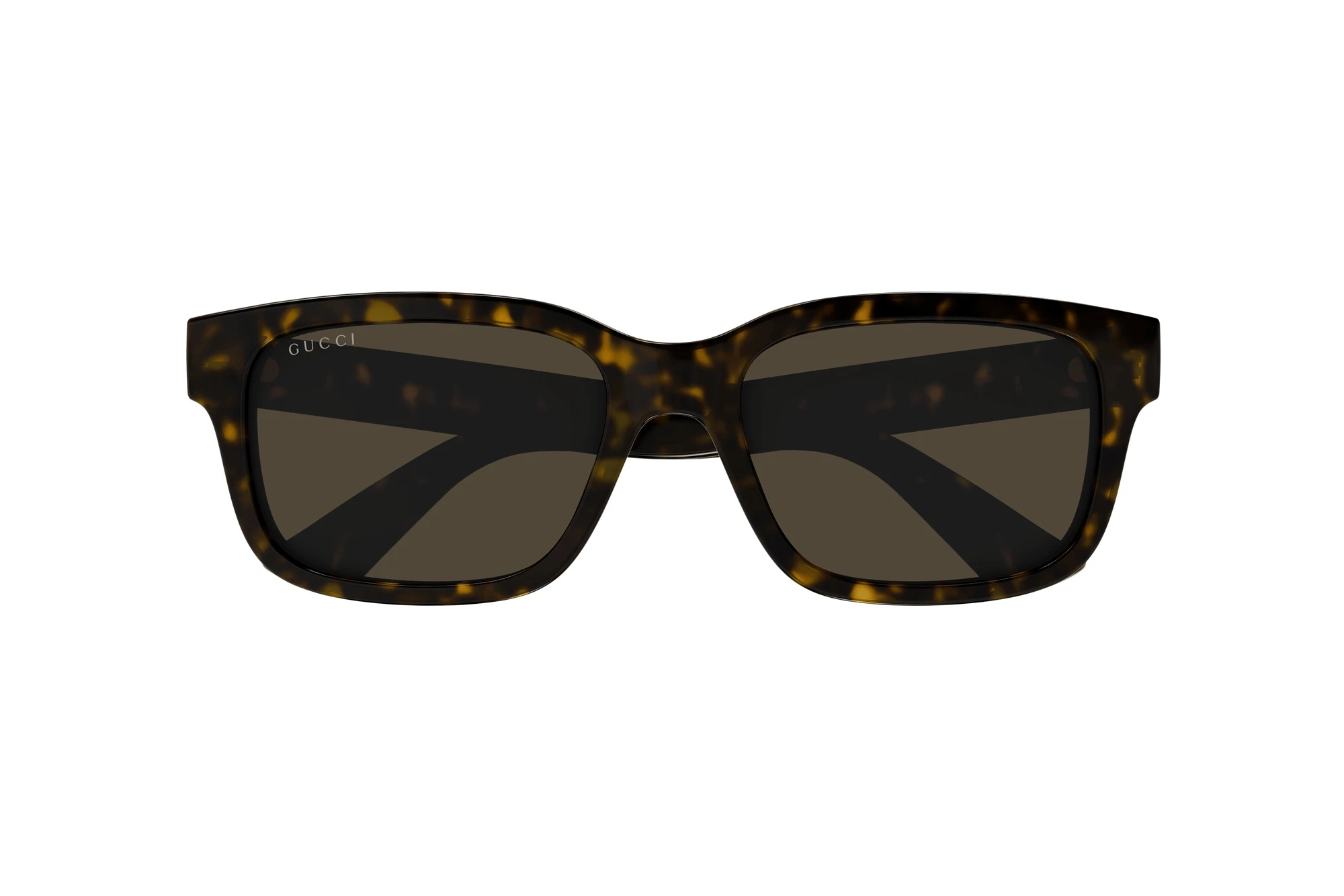 Vista frontal Gucci GG1583S (002)