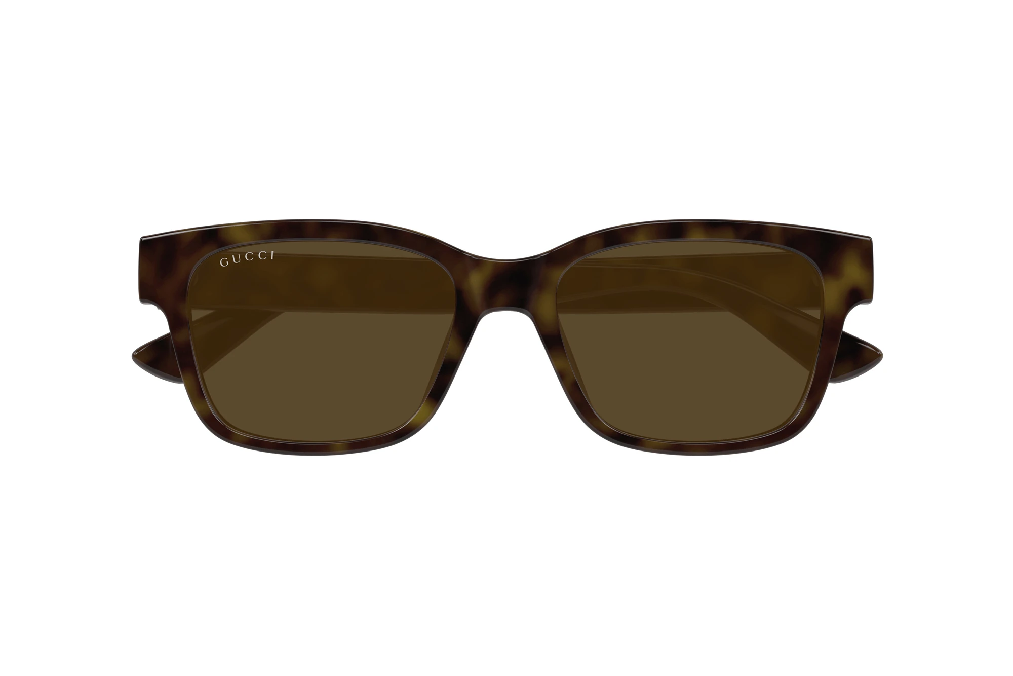 Vista frontal Gucci GG1716S (002)
