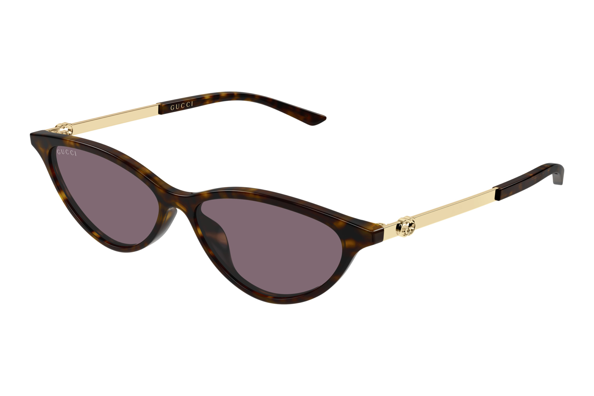 Gucci   GG2211S 003 HAVANA