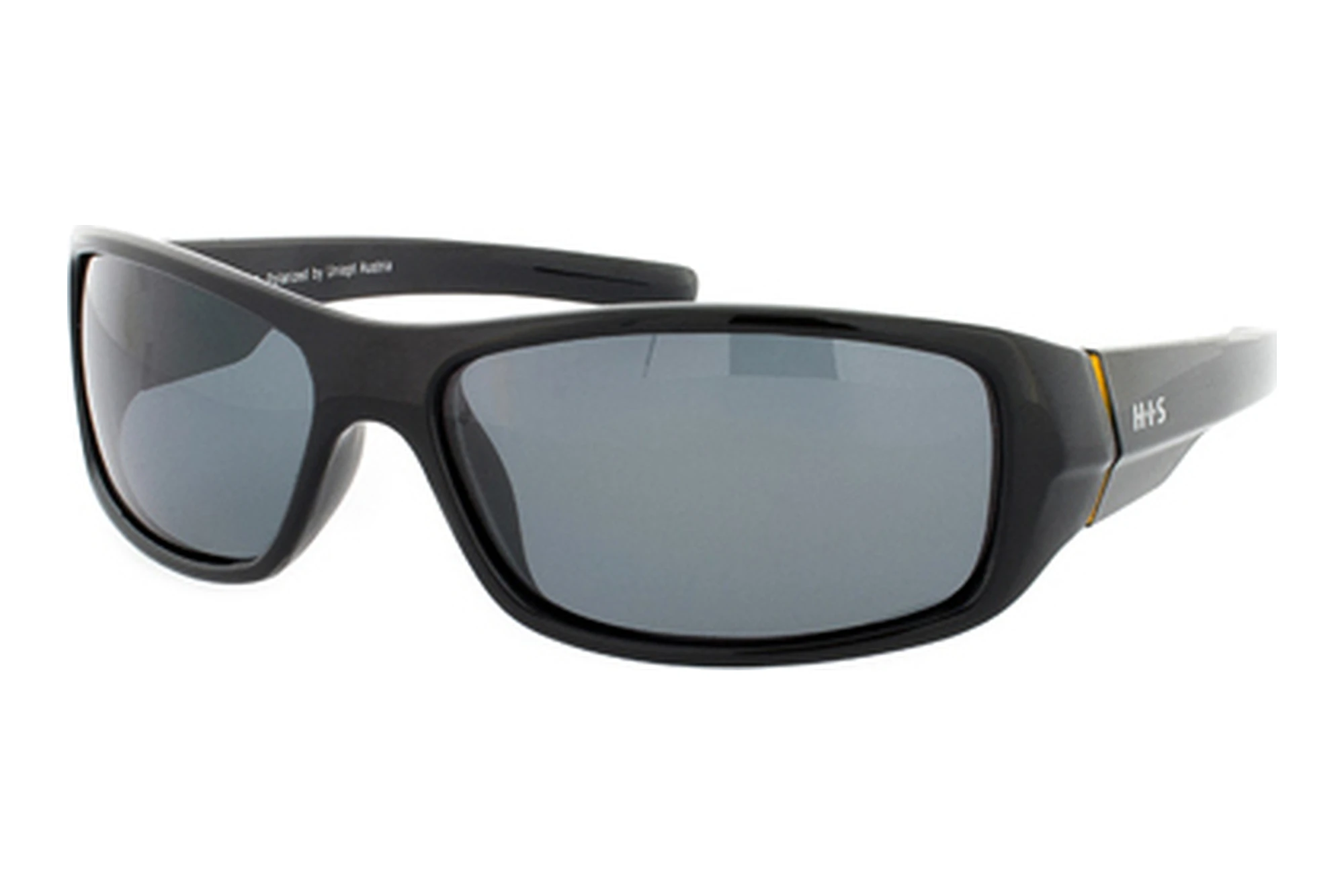 HIS Eyewear   HP10111 1 greyblack