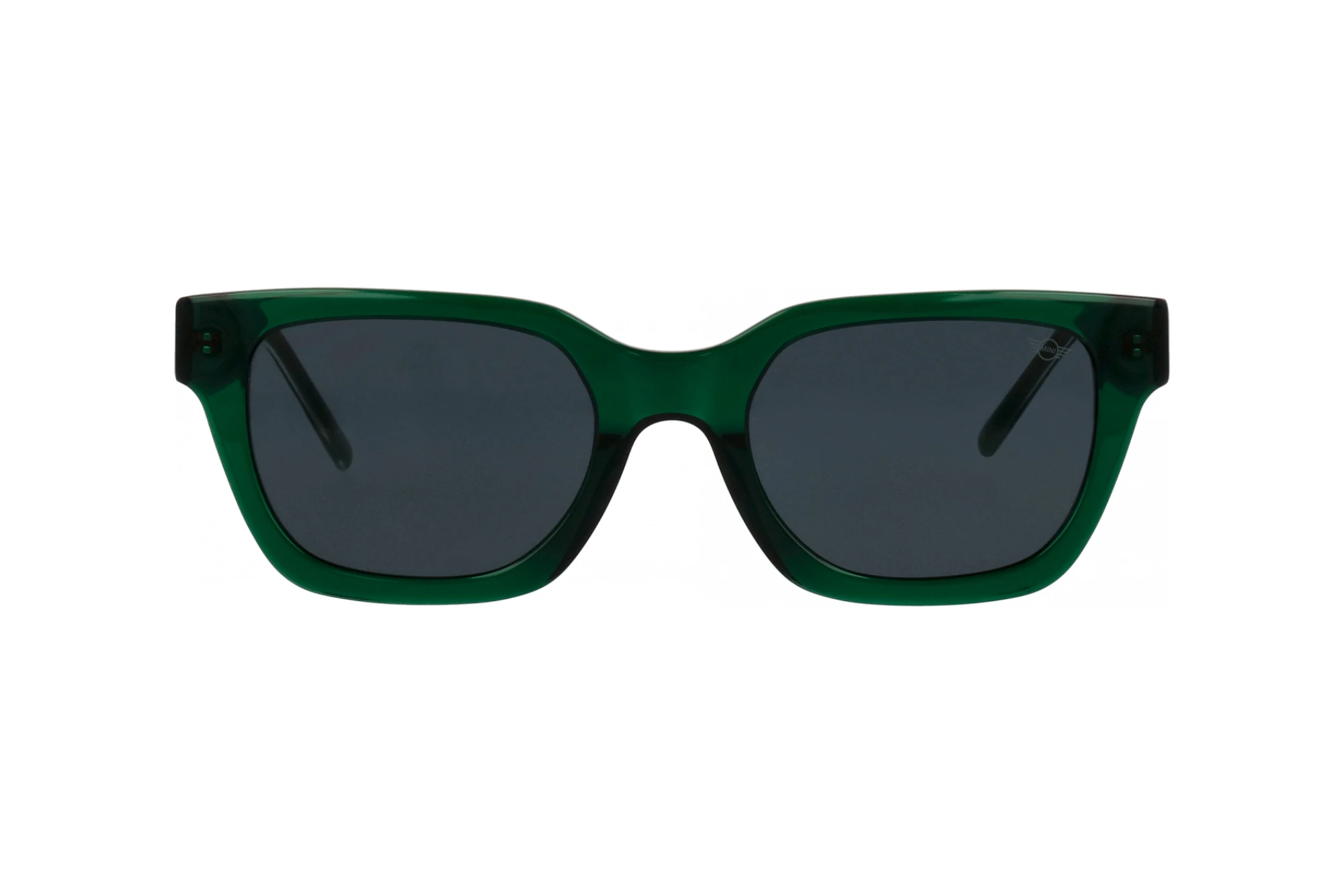 Vista frontal MINI Eyewear MI 746017 (40)