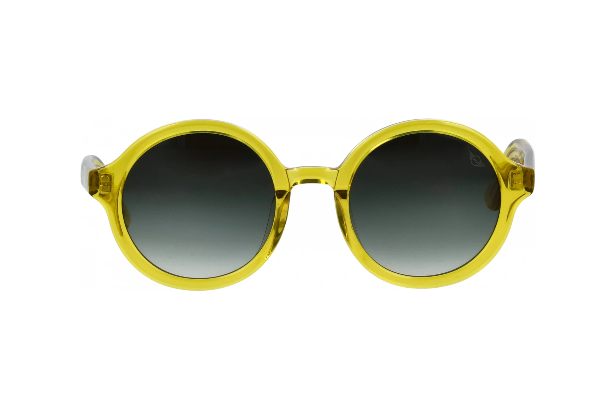 Vista frontal MINI Eyewear MI 746021 (80)