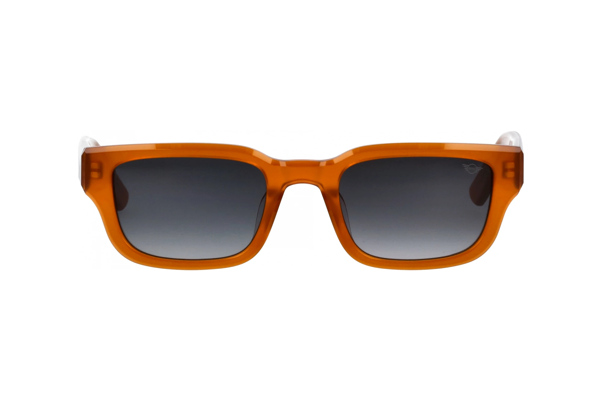 Vista frontal MINI Eyewear MI 746022 (60)
