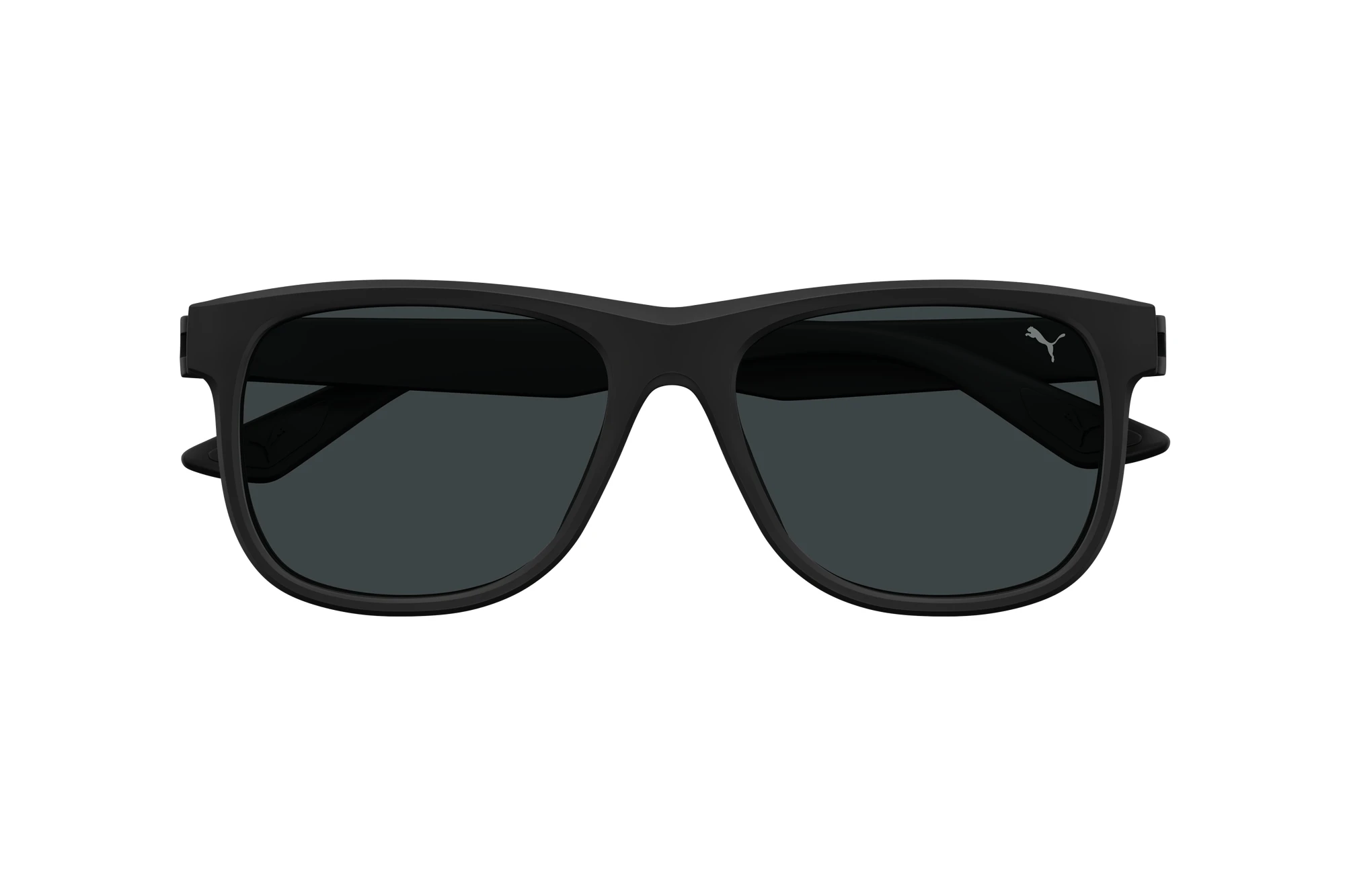 Vista frontal Puma PU0442S (001)