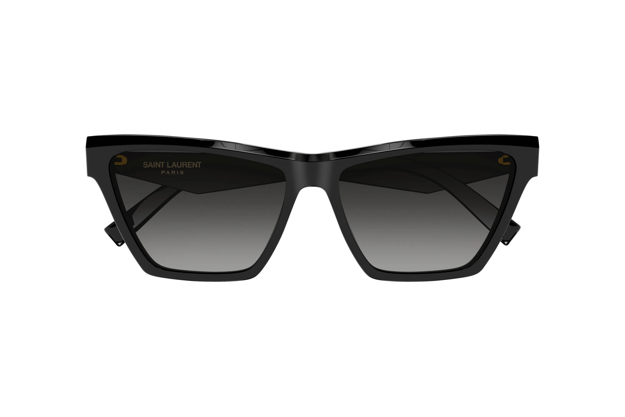 Vista frontal Saint Laurent SL M103 (001)