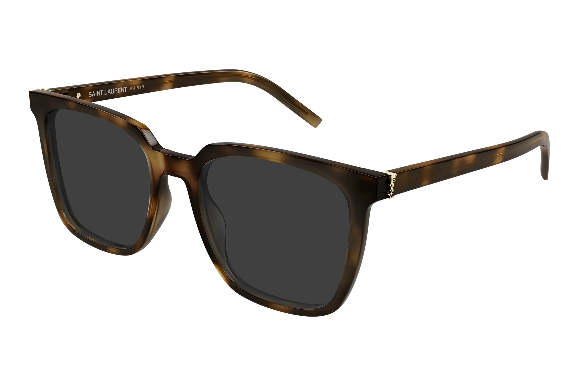 Saint Laurent   SL M146 003 HAVANA