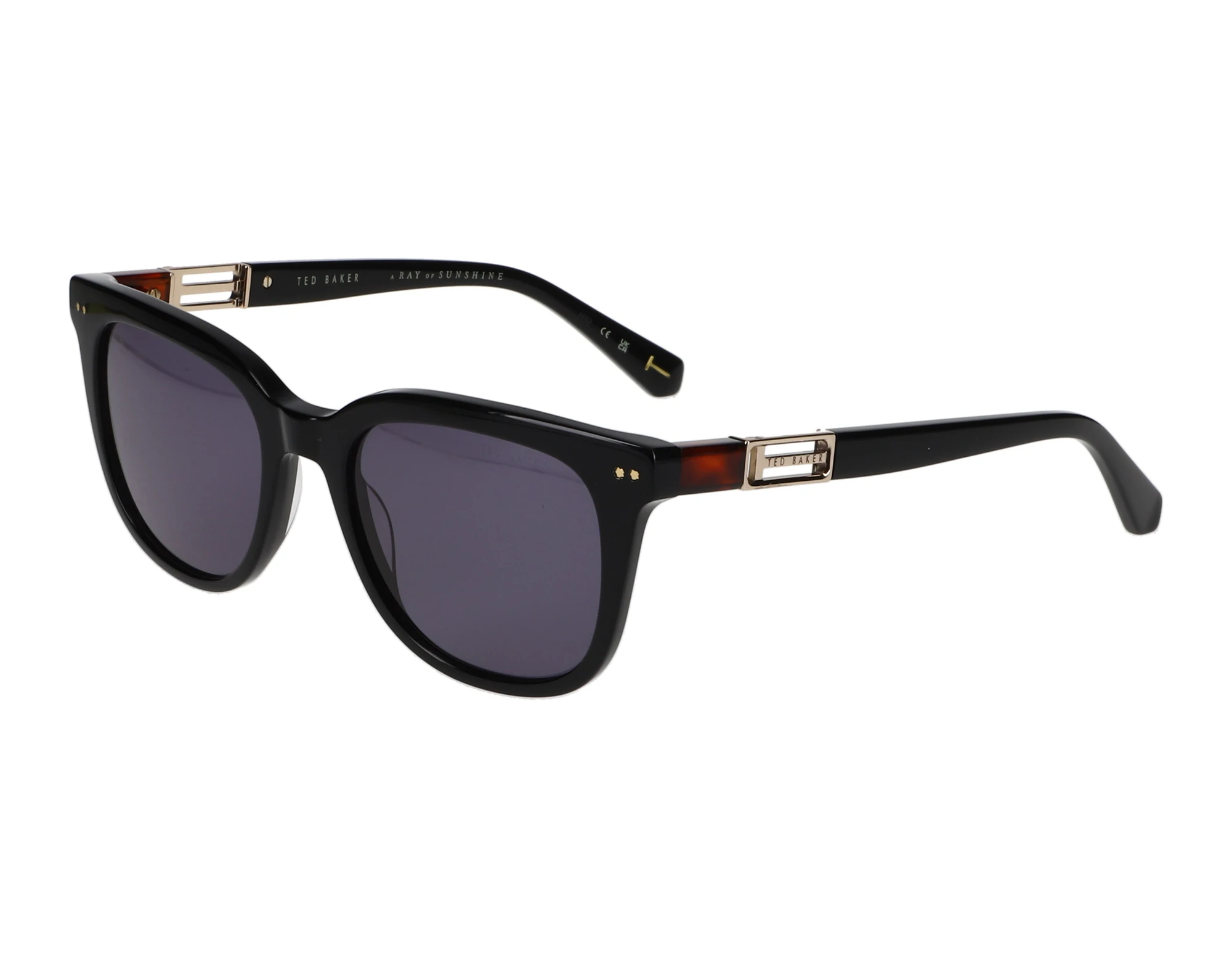 Vista frontal Ted Baker 391734 (001)