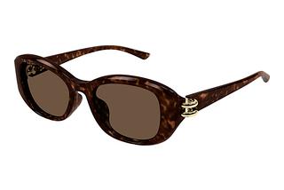 Alexander McQueen AM0470SA 002 HAVANA