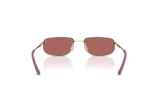 [glasses-back-view] Arnette AN3096 (748/69)