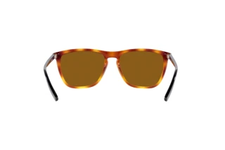 [glasses-back-view] Arnette FRY (AN4301 - 277083)