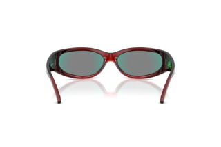 [glasses-back-view] Arnette CATFISH (AN4302 - 30196Q)