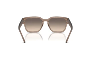 Vy bakifrån Arnette HAMIE (AN4325 - 290613)