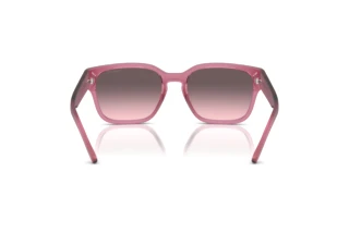 [glasses-back-view] Arnette HAMIE (AN4325 - 2907H9)