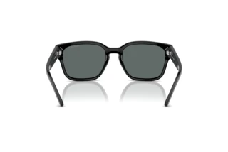 Vista posterior Arnette HAMIE (AN4325 - 291081)