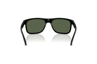 Vista posterior Arnette KHIM (AN4341 - 290071)