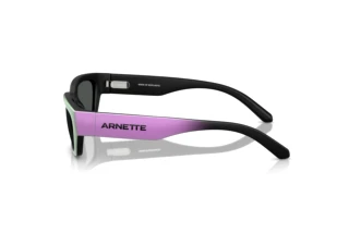 [glasses-side-view] Arnette CURBSIDE (AN4350 - 297687)