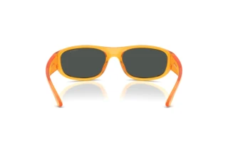 Vedere din spate Arnette GONDO (AN4361 - 287587)