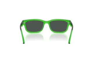 Vedere din spate Arnette DEFYER (AN4363 - 301487)