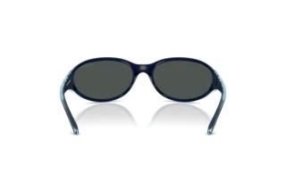 [glasses-back-view] Arnette RAVEN (AN4368 - 303287)