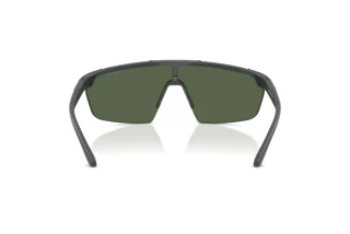 [glasses-back-view] Arnette AN4369 (284171)