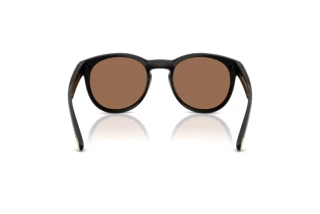 [glasses-back-view] Arnette AN4371 (290073)