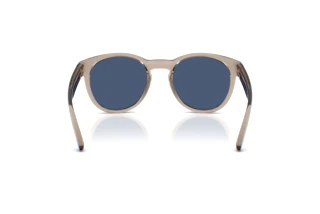 [glasses-back-view] Arnette AN4371 (303080)