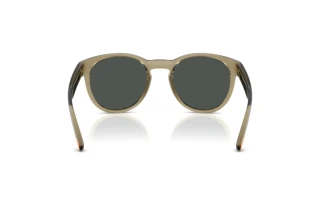 [glasses-back-view] Arnette AN4371 (303187)