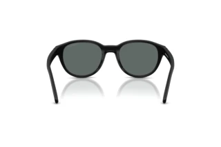 [glasses-back-view] Arnette AN4375 (27581W)