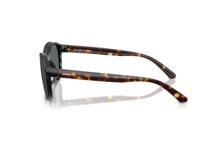 [glasses-side-view] Arnette AN4375 (30451W)