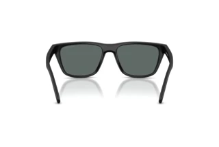 [glasses-back-view] Arnette AN4376 (27581W)