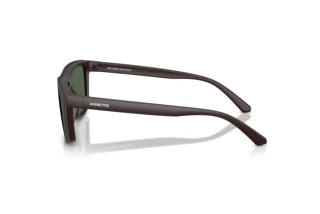 [glasses-side-view] Arnette AN4376 (30291W)