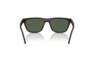 [glasses-back-view] Arnette AN4376 (30291W)