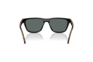 [glasses-back-view] Arnette AN4376 (30451W)