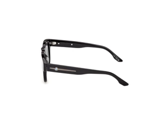 [glasses-side-view] BMW BW0080-H (01D)