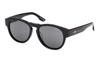 [glasses-front-view] BMW BW0080-H (01D)