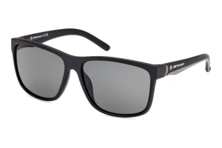 [glasses-front-view] BMW Motorsport BS0042 (02D)