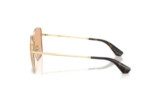 [glasses-side-view] Burberry BE3180 (1109TO)