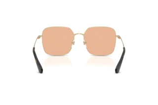 [glasses-back-view] Burberry BE3180 (1109TO)