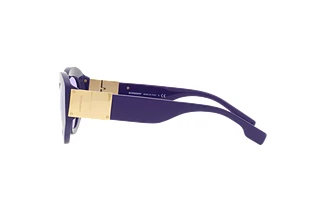 [glasses-side-view] Burberry SOPHIA (BE4361 - 39891A)