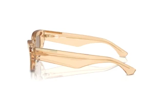 Sivukuva Burberry BE4425U (40635A)